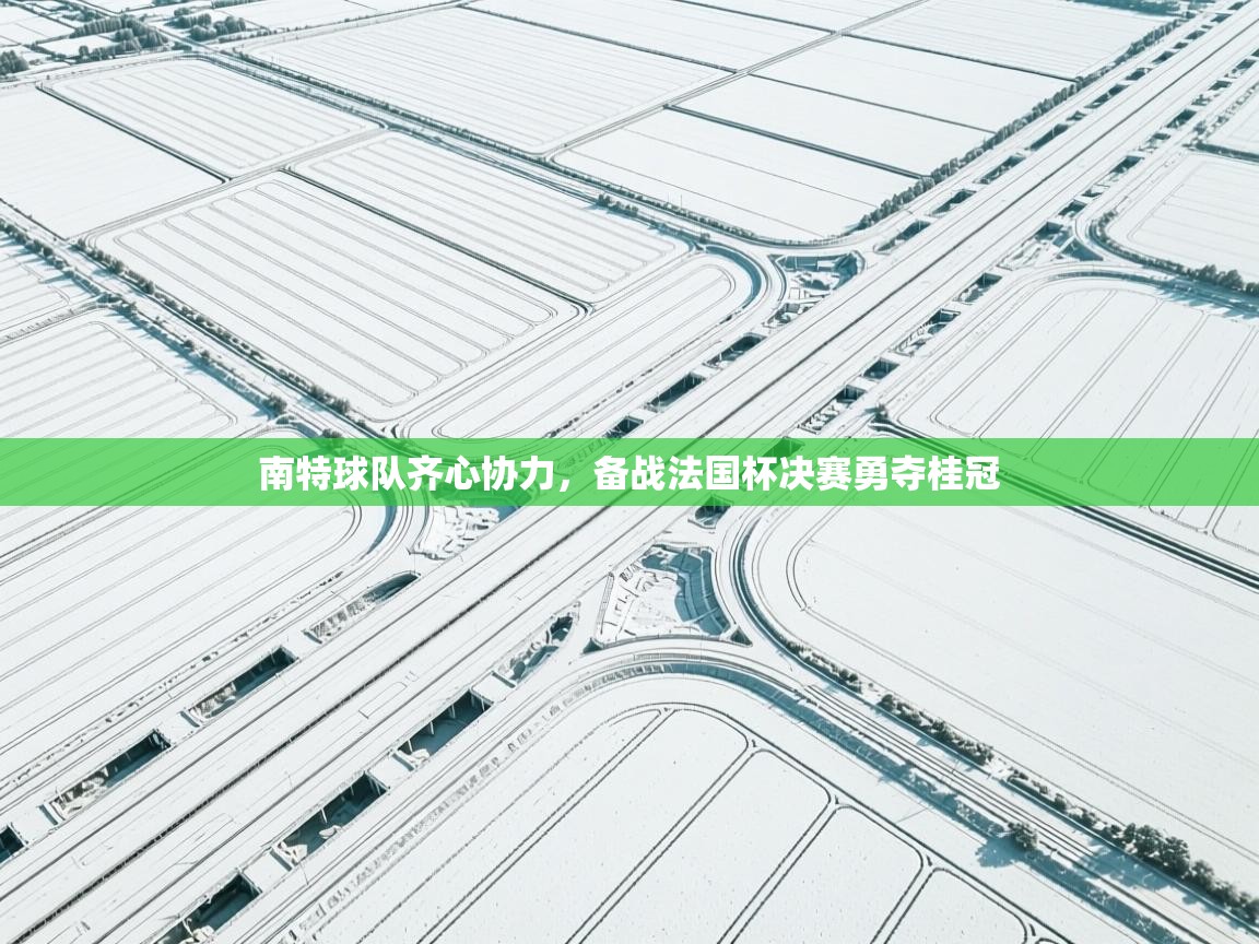 南特球队齐心协力,备战法国杯决赛勇夺桂冠 第1张