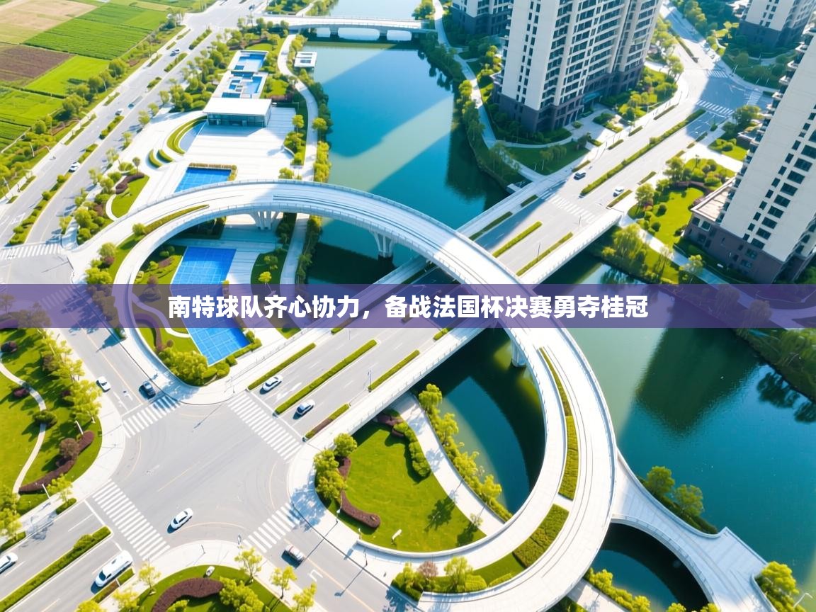 南特球队齐心协力,备战法国杯决赛勇夺桂冠 第2张