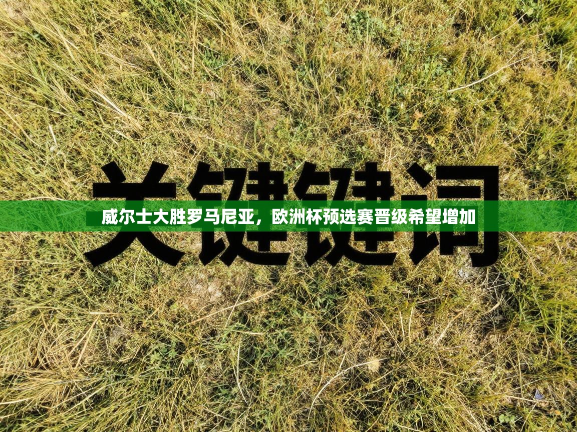 威尔士大胜罗马尼亚,欧洲杯预选赛晋级希望增加 第2张