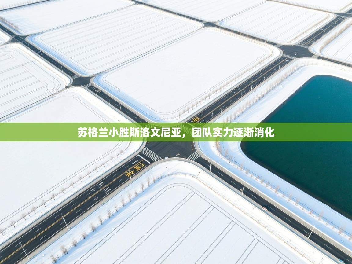 苏格兰小胜斯洛文尼亚，团队实力逐渐消化  第2张