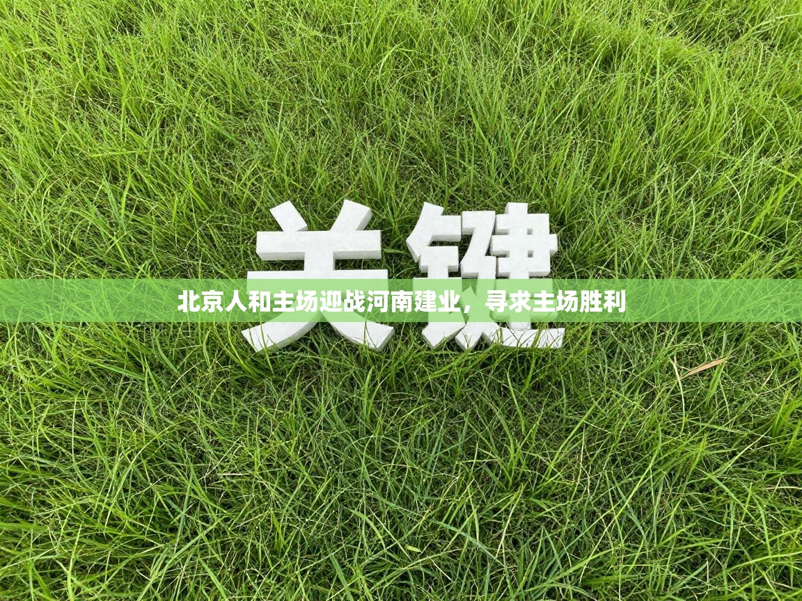 北京人和主场迎战河南建业，寻求主场胜利  第2张