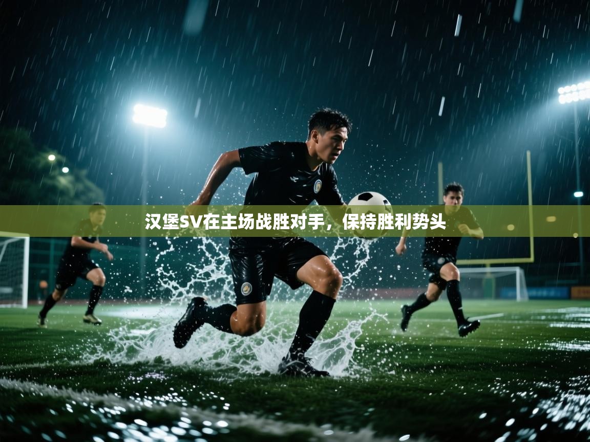 汉堡SV在主场战胜对手，保持胜利势头  第2张