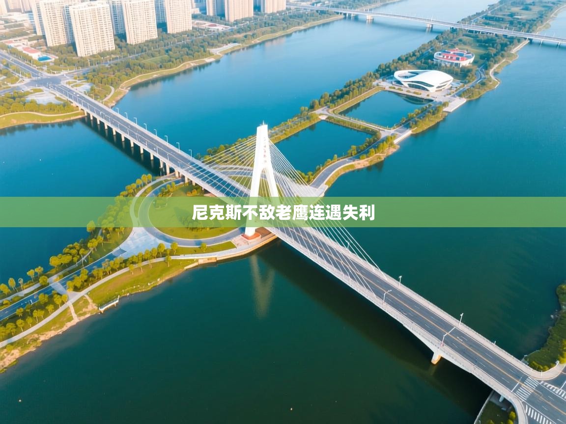 尼克斯不敌老鹰连遇失利  第2张