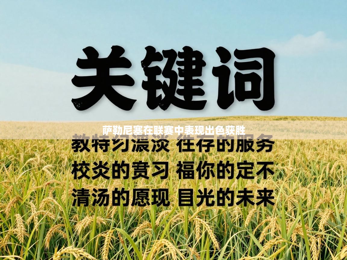 萨勒尼塞在联赛中表现出色获胜 第1张