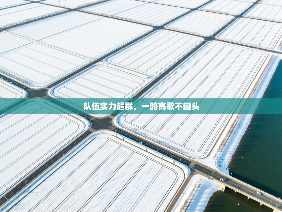 队伍实力超群,一路高歌不回头 第1张